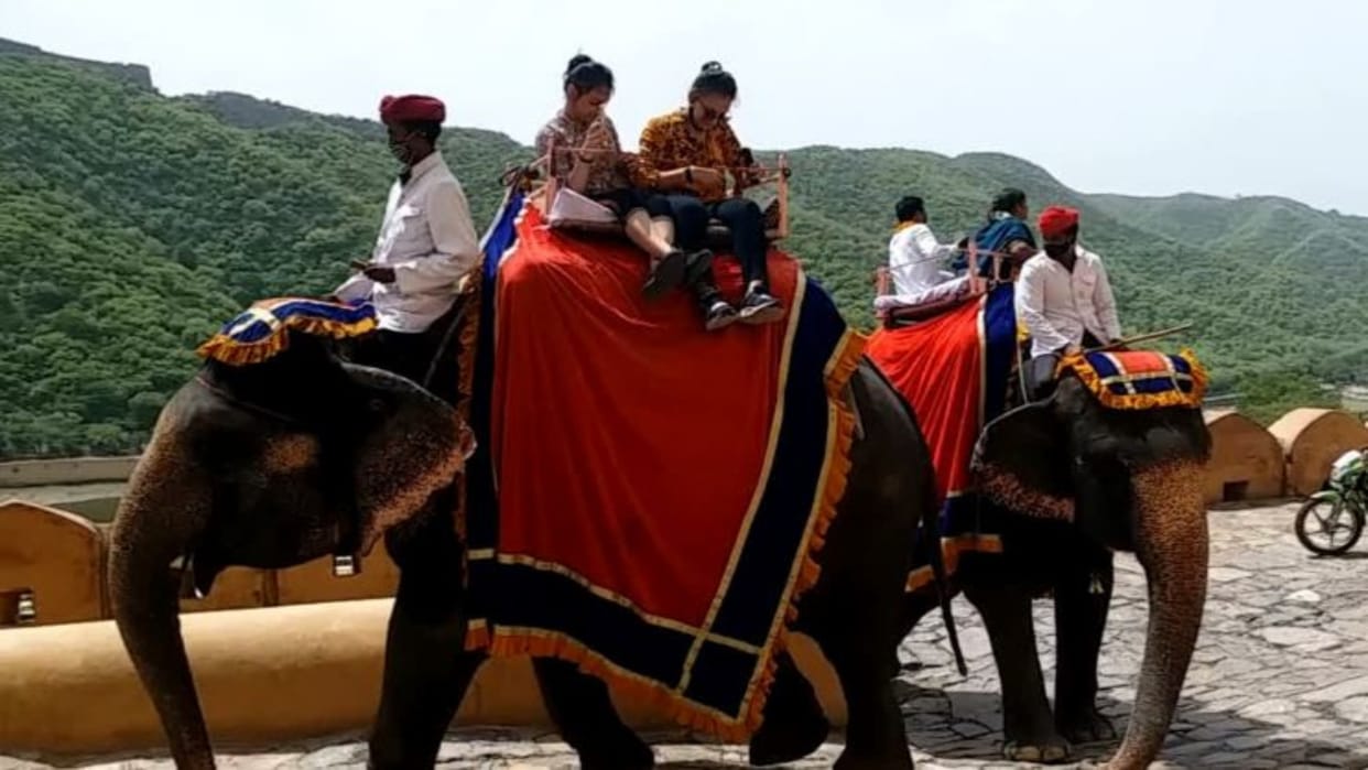 Jaipur News: Elephant Rides at Amer Fort Suspended During Navratri, Temporary Ban Until April 8