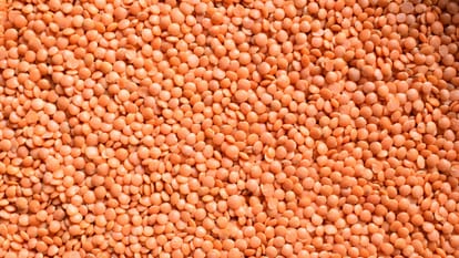 iron rich foods vegetarian 6 Healthy Foods That Are Great Sources of Iron