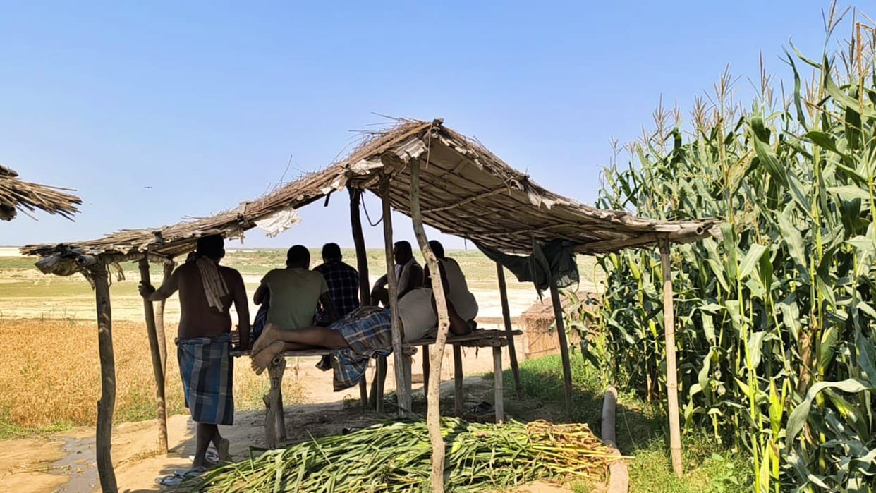 Bhagalpur Crime: Farmers are afraid to harvest crops in their fields, police is also afraid of criminals