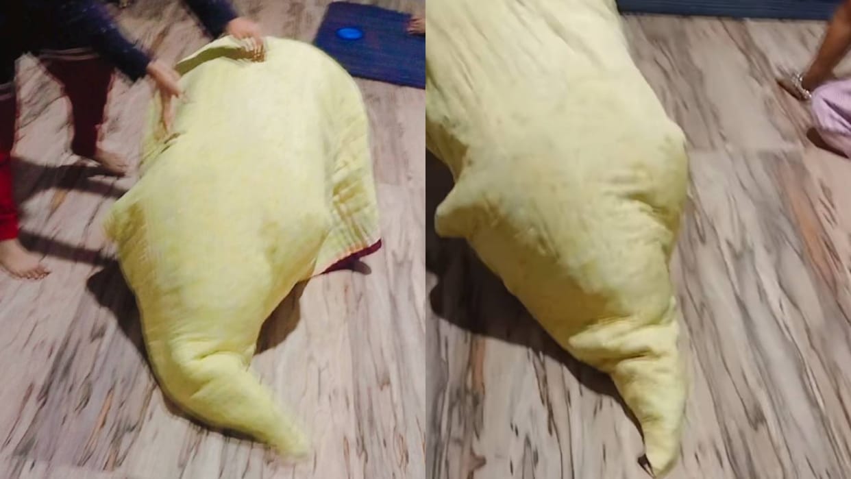 Mothers love won people hearts she became an elephant for the child Video goes viral on Internet