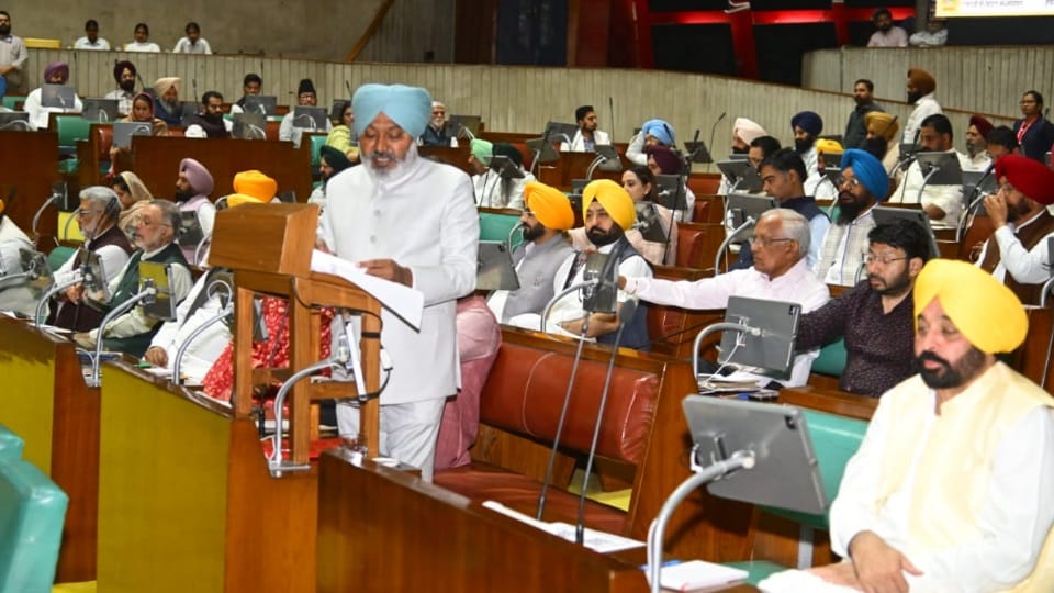 Budget Rangla Punjab Development Scheme Provision of Rs 585 crore