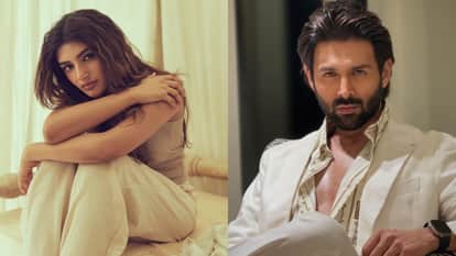 Kartik Aaryan Sreeleela Anurag Basu Film Shoot Delayed Know The Reason Here