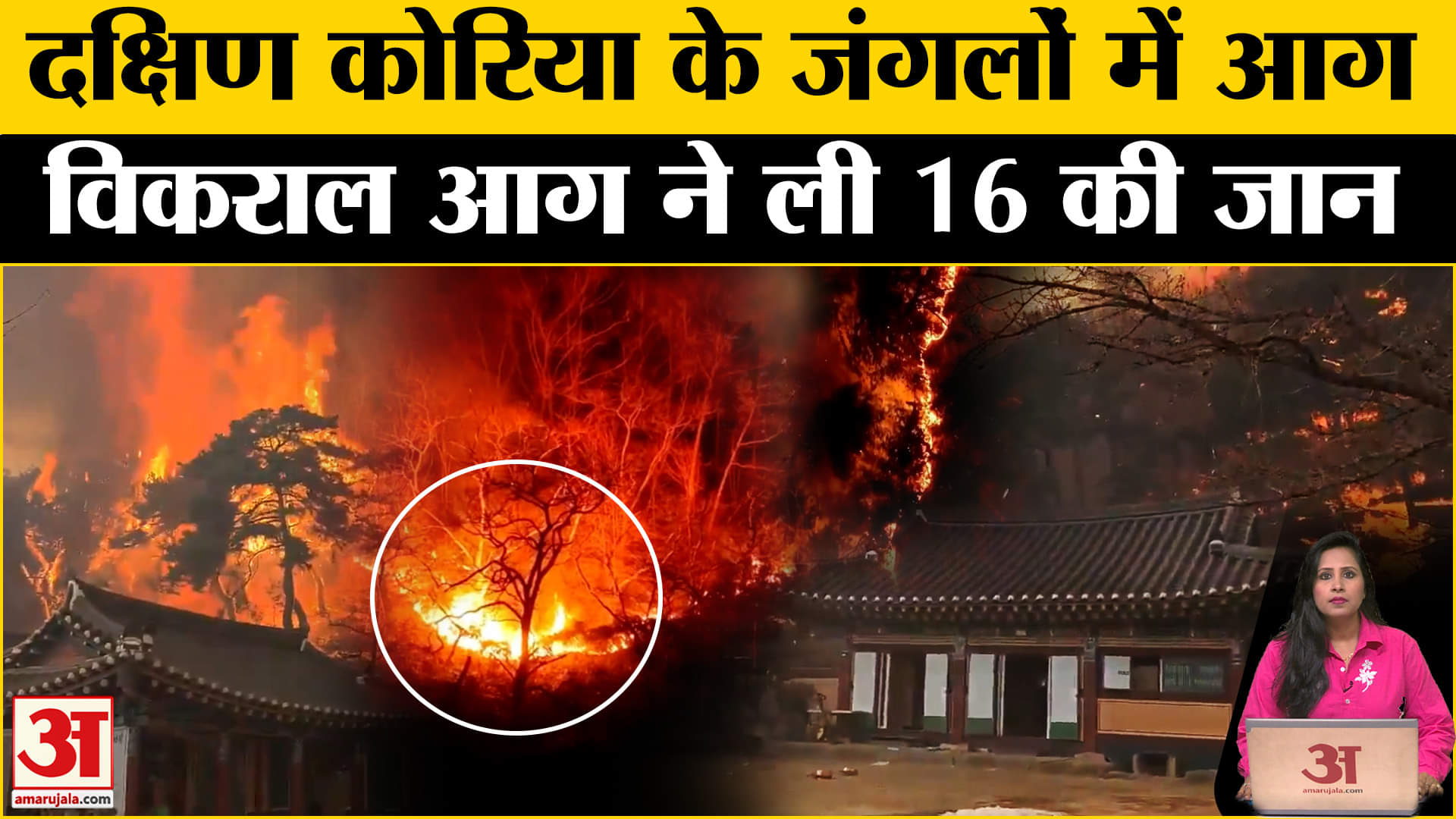 South Korea Fire: California में भीषण आग के बाद दक्षिण कोरियाई जंगल में लगी आग, 16 लोगों की गई जान