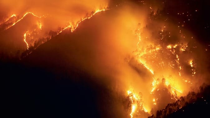 Pilot dies after helicopter crashes while extinguishing fire in South Korea World News In Hindi