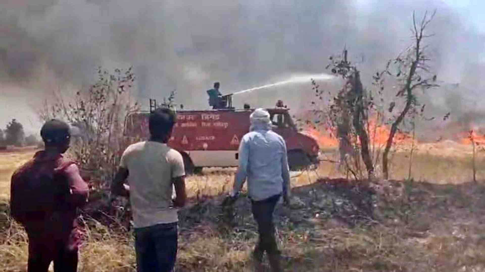 आग बुझाने में जुटे दमकल कर्मी।