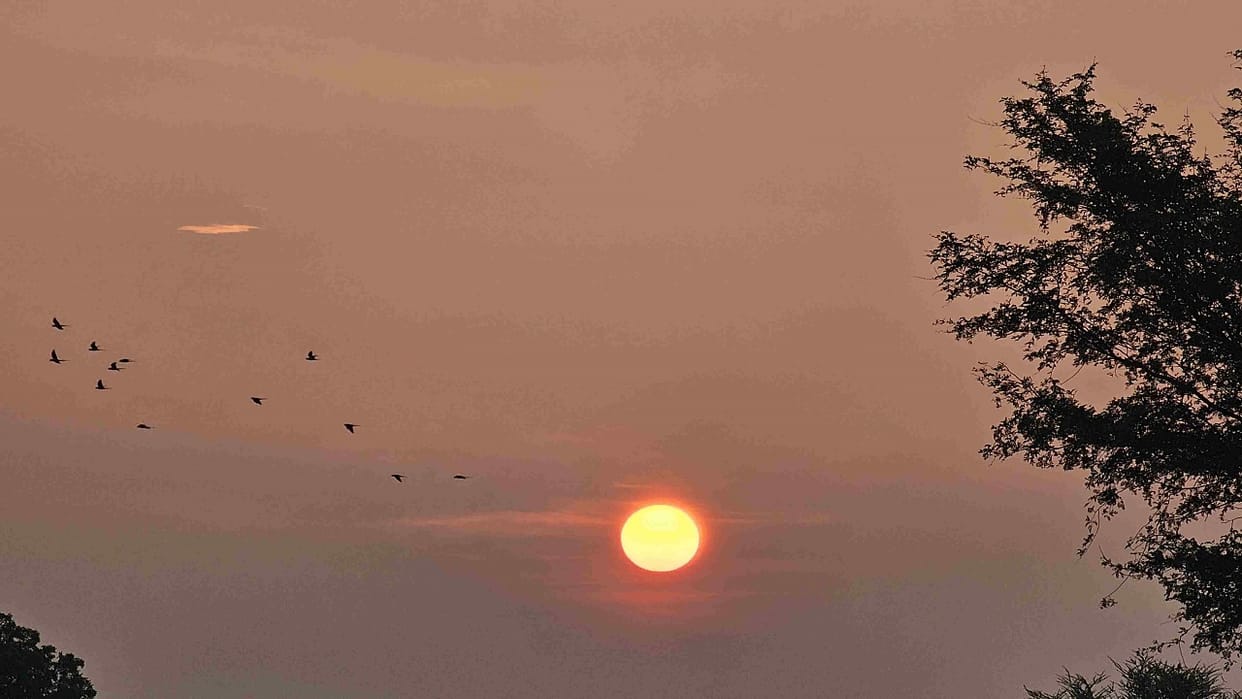 Maximum temperature will increase by 2 to 3 degrees Celsius in 12 days
