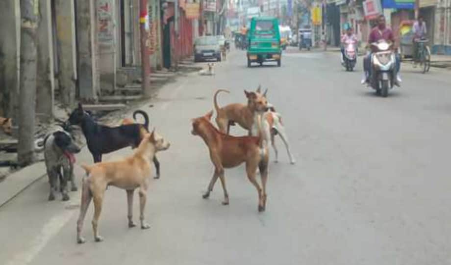 प्रतीकात्मक तस्वीर
