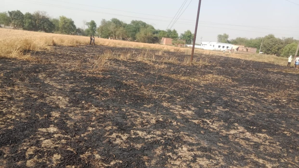 Fire broke out in the field due to electrical short circuit