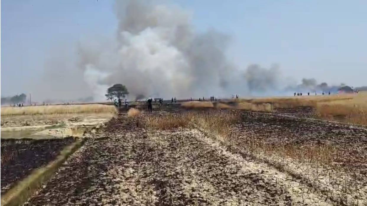 fire in Ghazipur Two bighas of wheat crop burnt due to short circuit