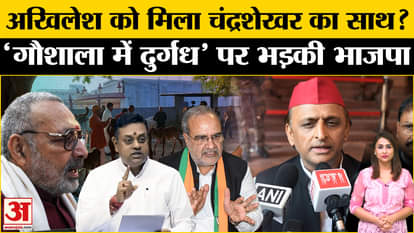 Gaushala vs Perfume Park: Akhilesh Yadav's statement on cowsheds creates ruckus! UP Politics | Amar Ujala