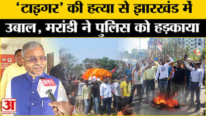 Jharkhand Anil Tiger Case: Anil Tiger's murder in broad daylight causes panic in Ranchi. Babulal Marandi