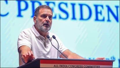 राहुल गांधी, सांसद, कांग्रेस