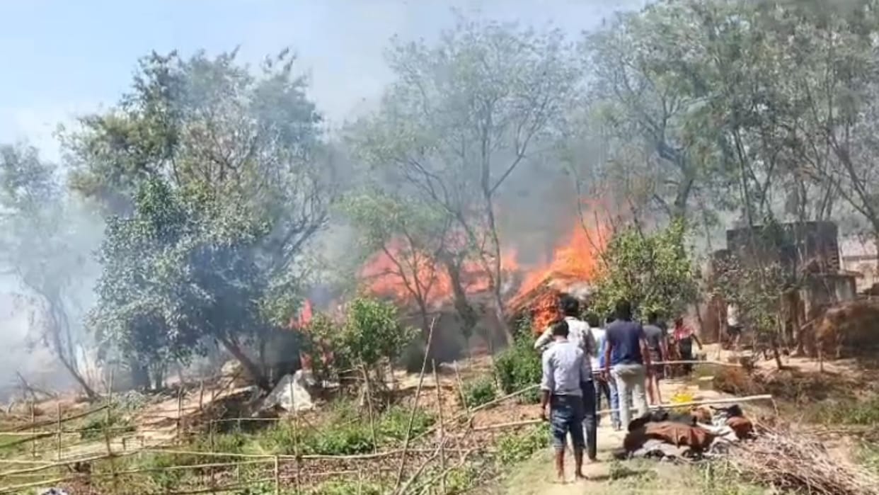 Vegetation is being damaged due to the negligence of the responsible people