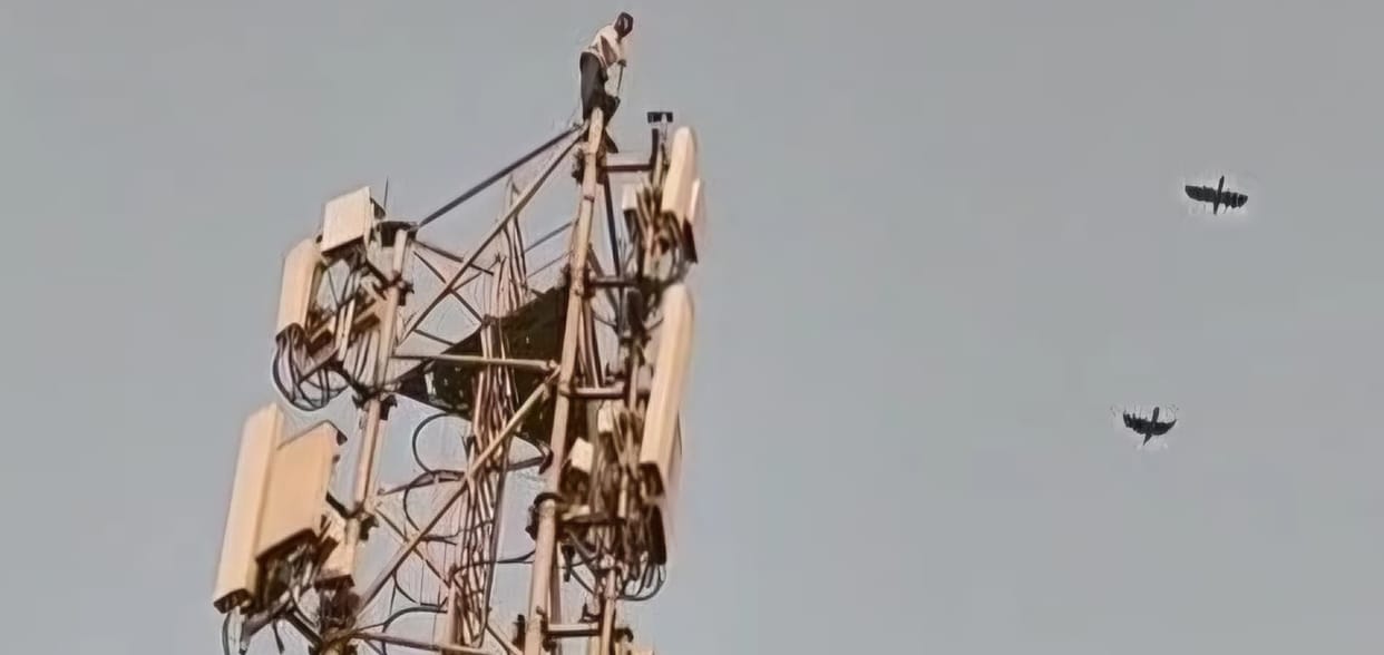 Bihar News: Young man climbed mobile tower in Nalanda, attempted suicide: Bihar Police investigation