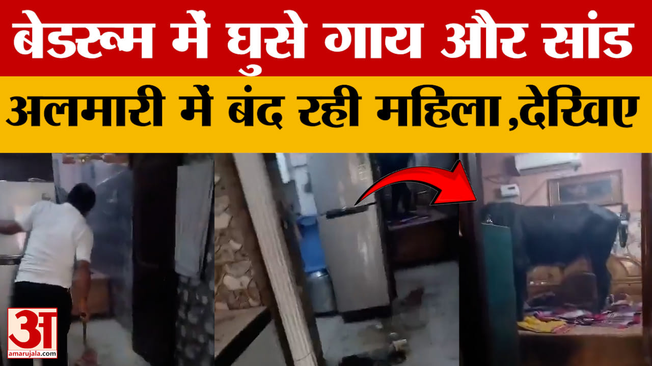 फरीदाबाद