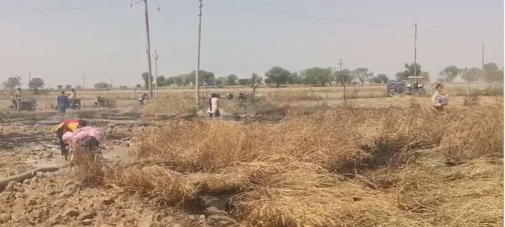 Wheat crop caught fire Farmers showed such wisdom that they saved many people's crops from burning