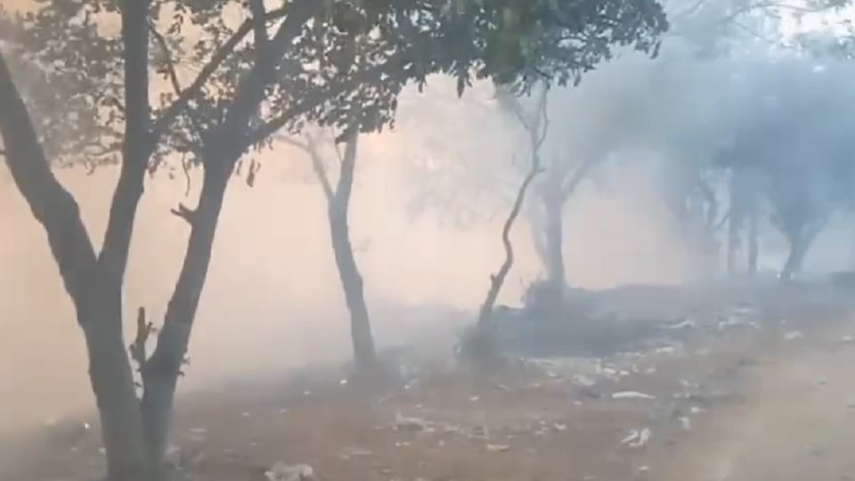 Fire broke out in Greater Noida's green belt under suspicious circumstances