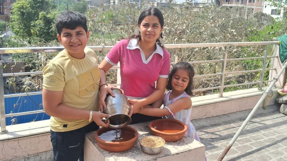 Arrangements are being made to provide food and water to birds in Noida