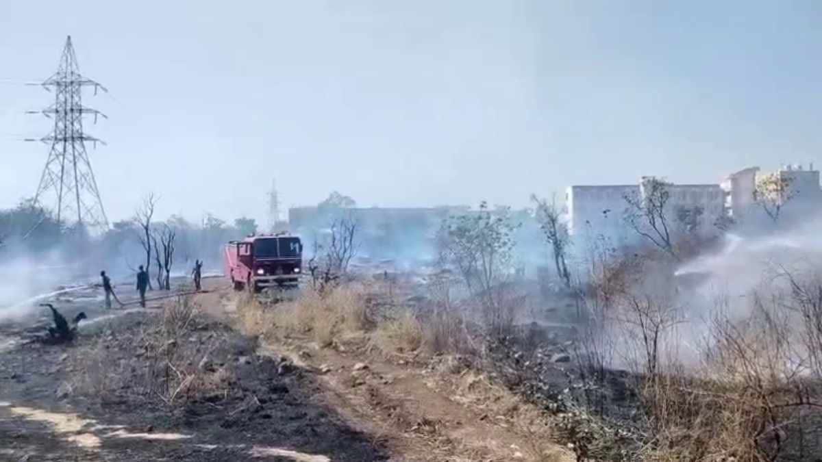 MANIT FOREST FIRE: Fire broke out in Bhopal MANIT forest, thousands of trees burnt, 30 fire engines controlled