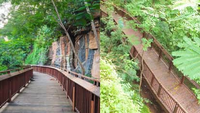 मुंबई का पहला नेचर ट्रेल वॉकवे।