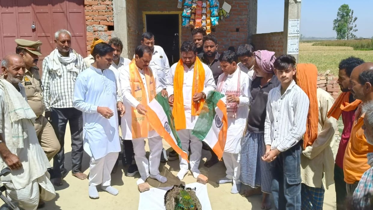 Post-mortem of the peacock was done the national bird was given a final farewell by wrapping it in the tricol