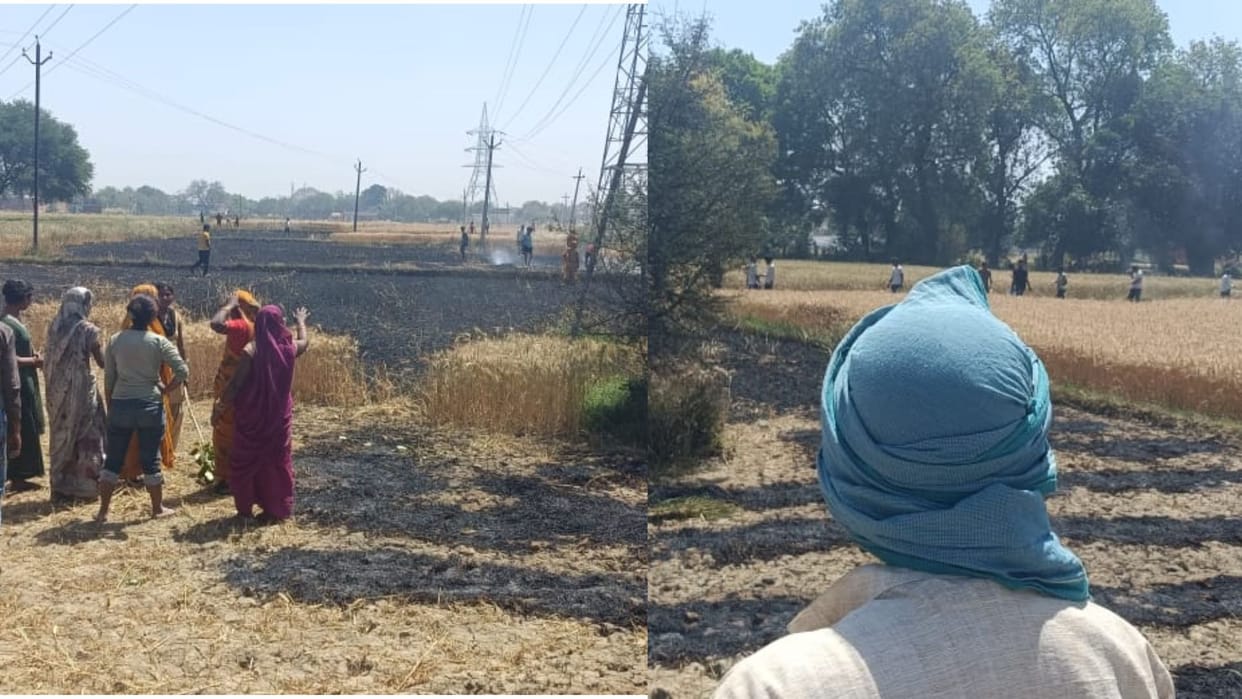 Fire broke out due to electrical short circuit two and a half bigha wheat burnt to ashes