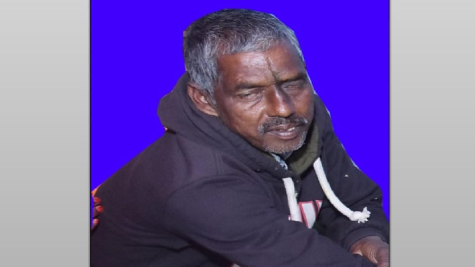 Bijnor: Tiger killed and ate a young man, only a skeleton of a skull and traces of blood was found on the spot