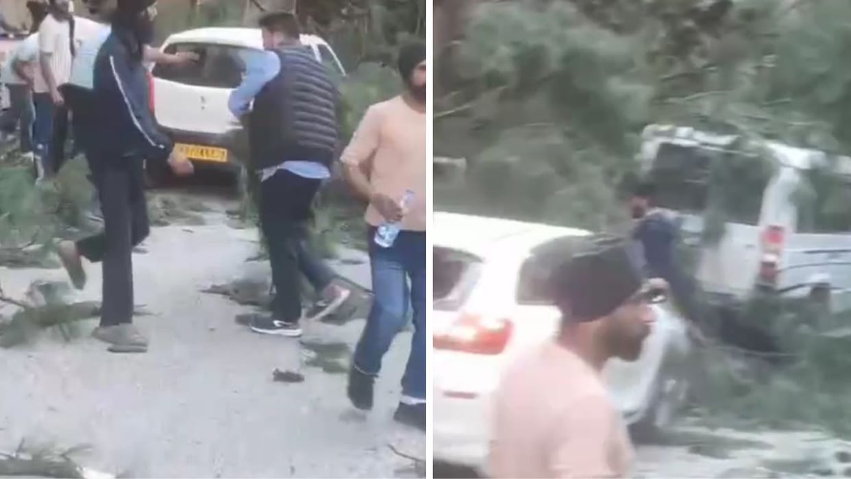 Major accident in Manikaran Himachal Pradesh tree falls on vehicles six dead some injured