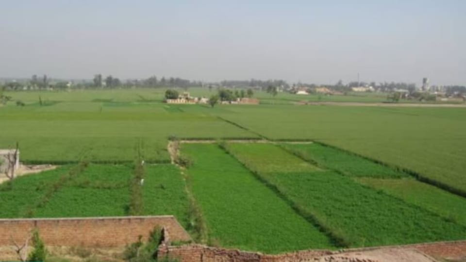 Seed farm worth Rs 31 crore at Attari border built by Akali BJP government 12 years ago
