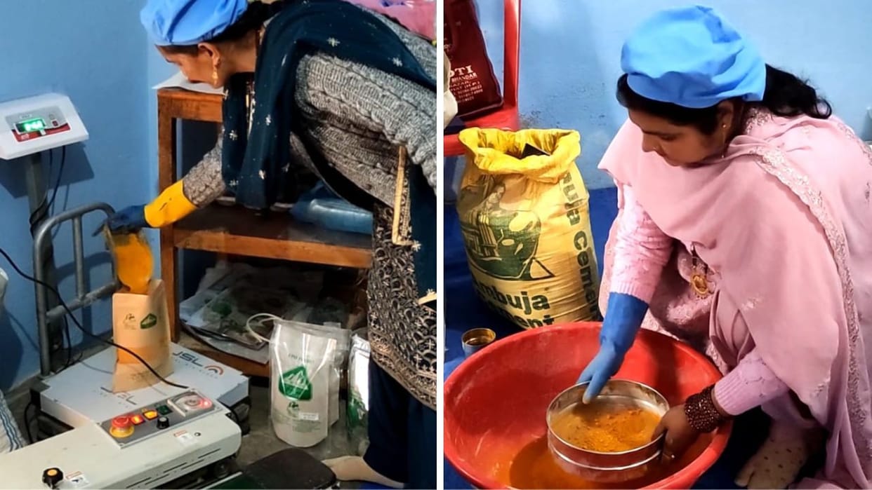 Himachal Women are writing success story by cultivating organic turmeric in Dharampur area of Mandi