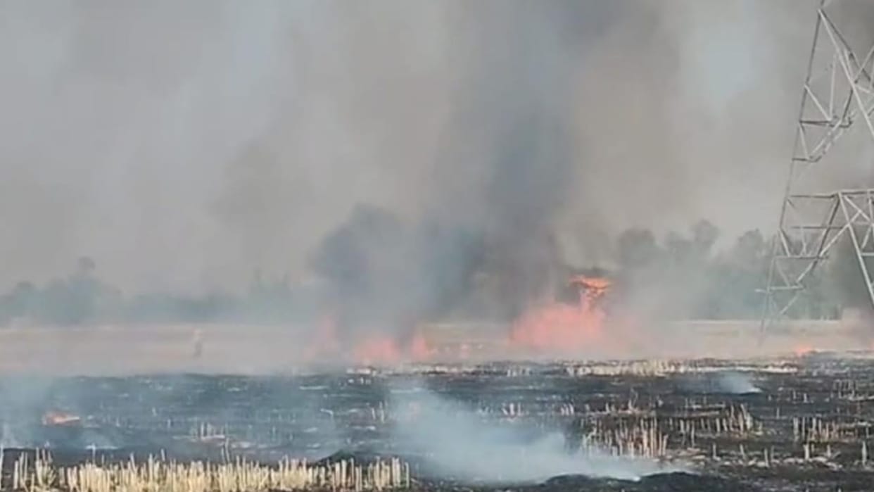Fire wreaks havoc wheat crop standing in five bighas burnt to ashes chaos ensues