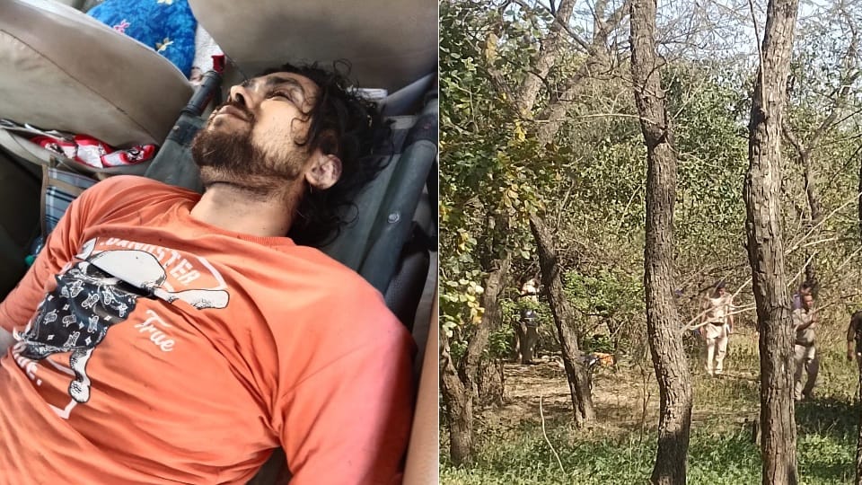 Youth dead body found in forest area in Chandigarh