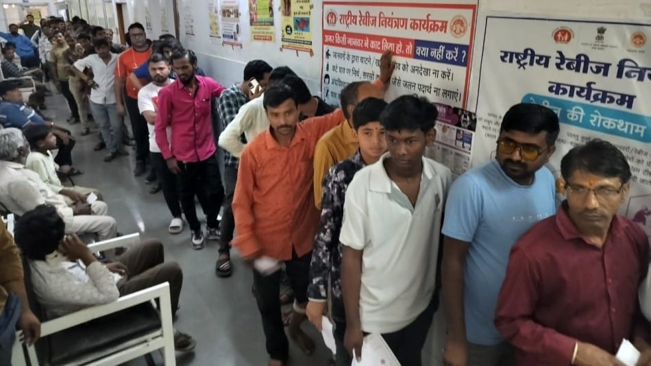 Indore News New Campaign Launched to Control Stray Dogs in Indore, Set to Run for 6 Months