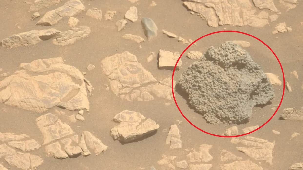 NASA rover spots hundreds of 'spider eggs' on Mars and scientists have no idea how they got there