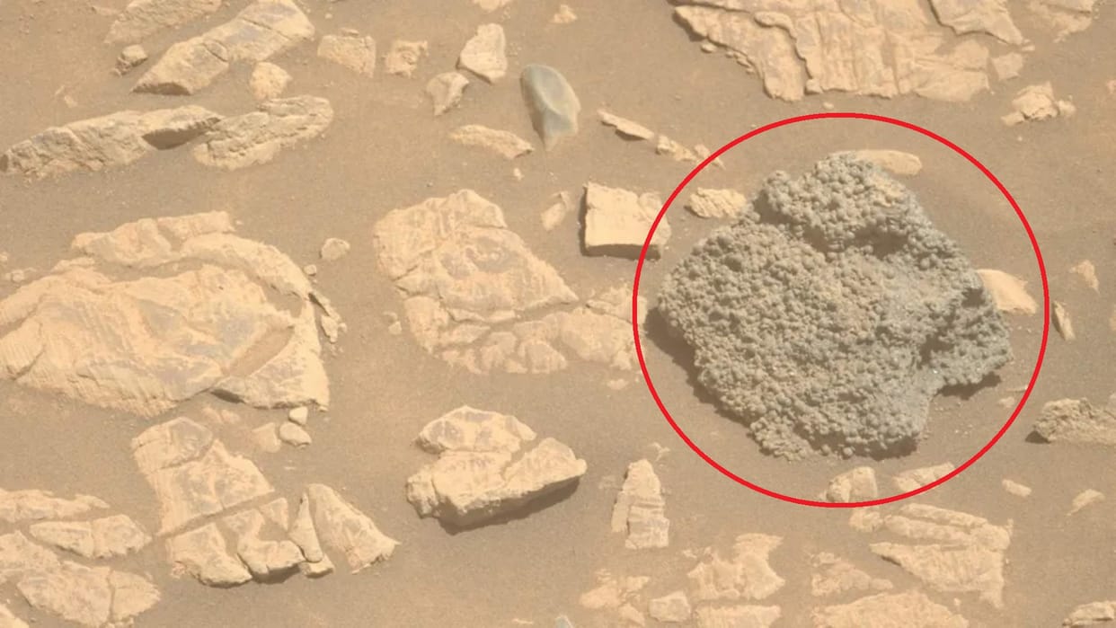 NASA rover spots hundreds of 'spider eggs' on Mars and scientists have no idea how they got there