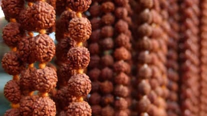 रुद्राक्ष को ऐसे करें धारण