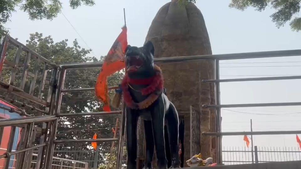 Dogs are worshipped here lamp of faith is lit during Navratri story here is related to Nagavanshi period in Ba