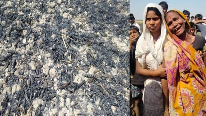 75 bigha wheat crop burnt to ashes due to fire in Barabanki revenue officials done conducting survey
