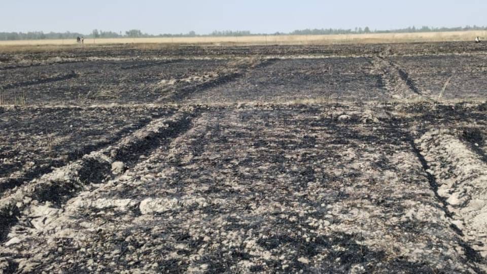 75 bigha wheat crop burnt to ashes due to fire in Barabanki revenue officials done conducting survey