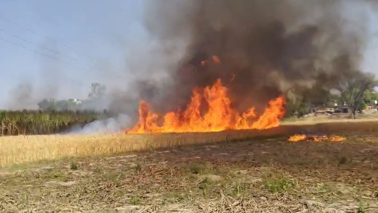 Crops and houses burnt to ashes in a fierce fire loss estimated at two lakh rupees