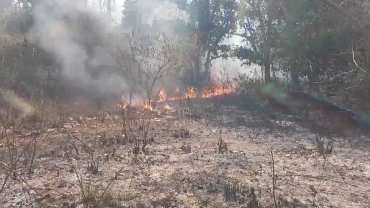 Uttarakhand forest fires air quality worrisome due to forest fires black carbon increasing heat