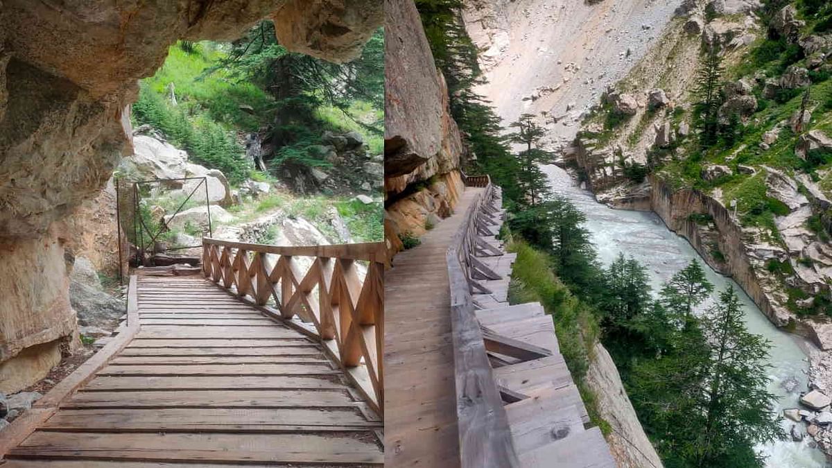 Gangotri National Park Gates Opened For Tourists And Mountaineers Nelang  And Gartanggali Uttarkashi News - Amar Ujala Hindi News Live -  Uttarkashi:खुले गंगोत्री नेशनल पार्क के द्वार... इन ट्रेक पर ग्लेशियर ...