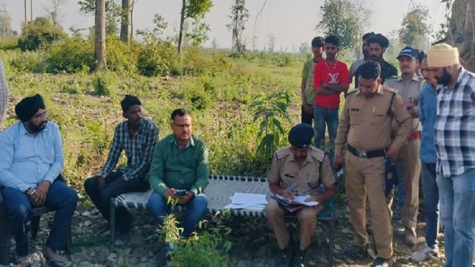 An elephant crushed an old watchman to death in Pipalpadav range udham singh nagar