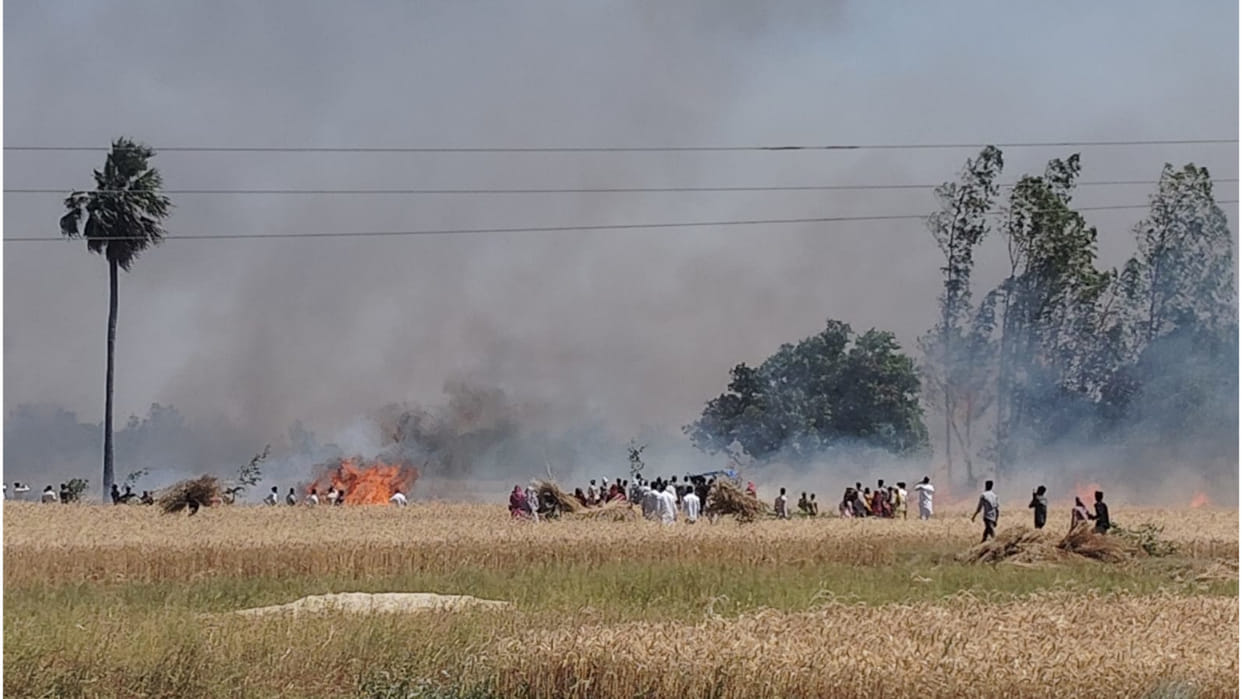 Fire broke out in Dudhara area of Sant Kabir Nagar, 100 bigha wheat crop estimated to have been burnt