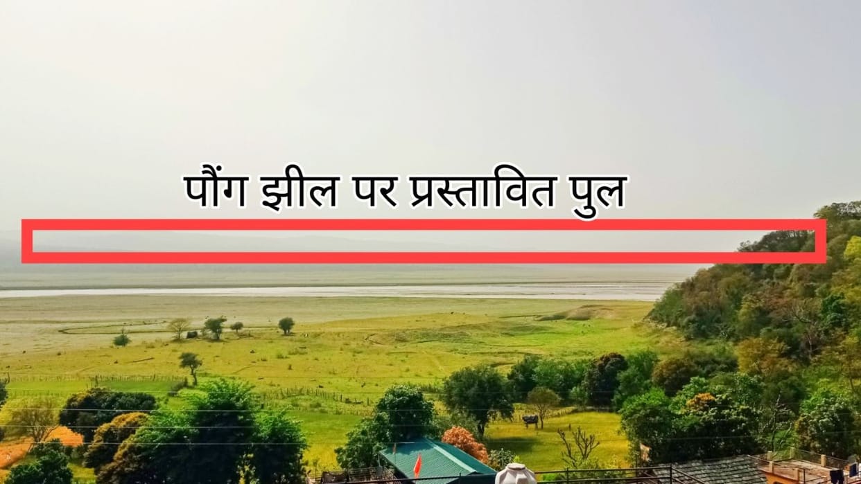 Himachal Pradesh Preparations to build a three-km-long bridge over Kangra Poung Lake