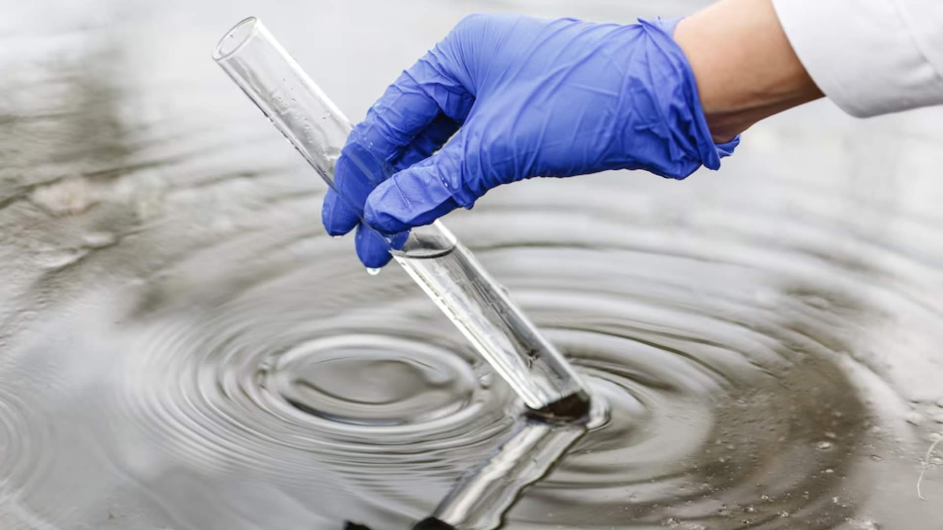 पानी की गुणवत्ता का परीक्षण (सांकेतिक तस्वीर)