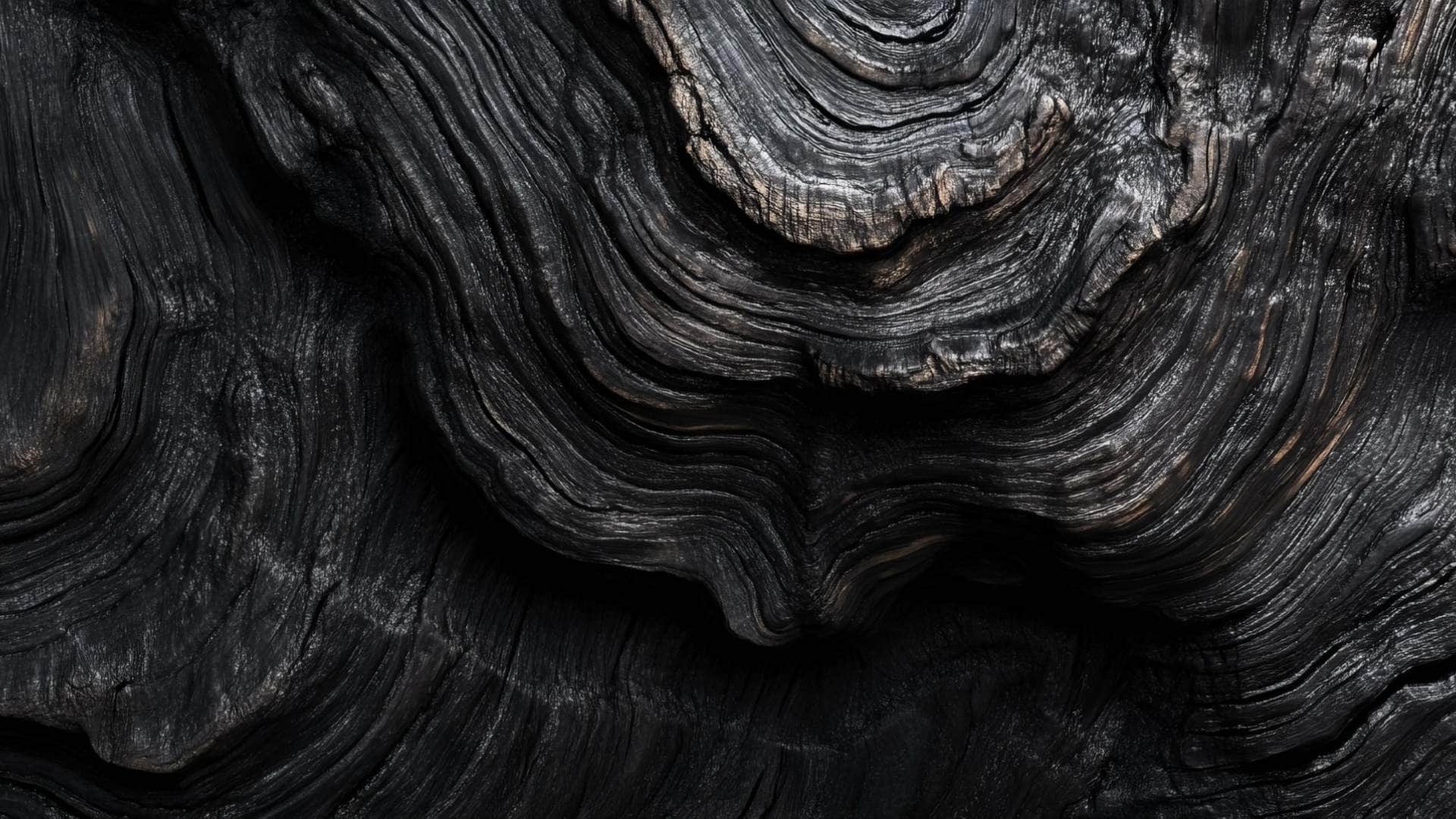 World Most Expensive Wood Price Check Costs Lakhs Per Kilo Know Facts Behind african blackwood