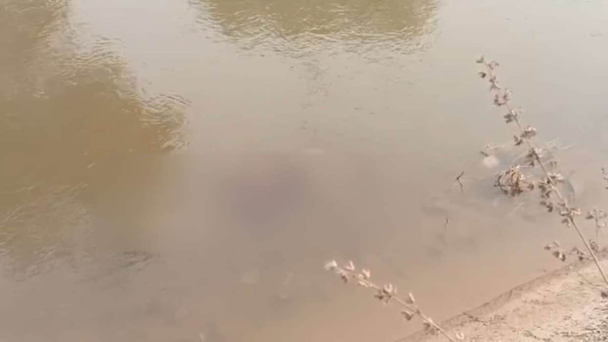 young man body was found in a canal in Bhatapara