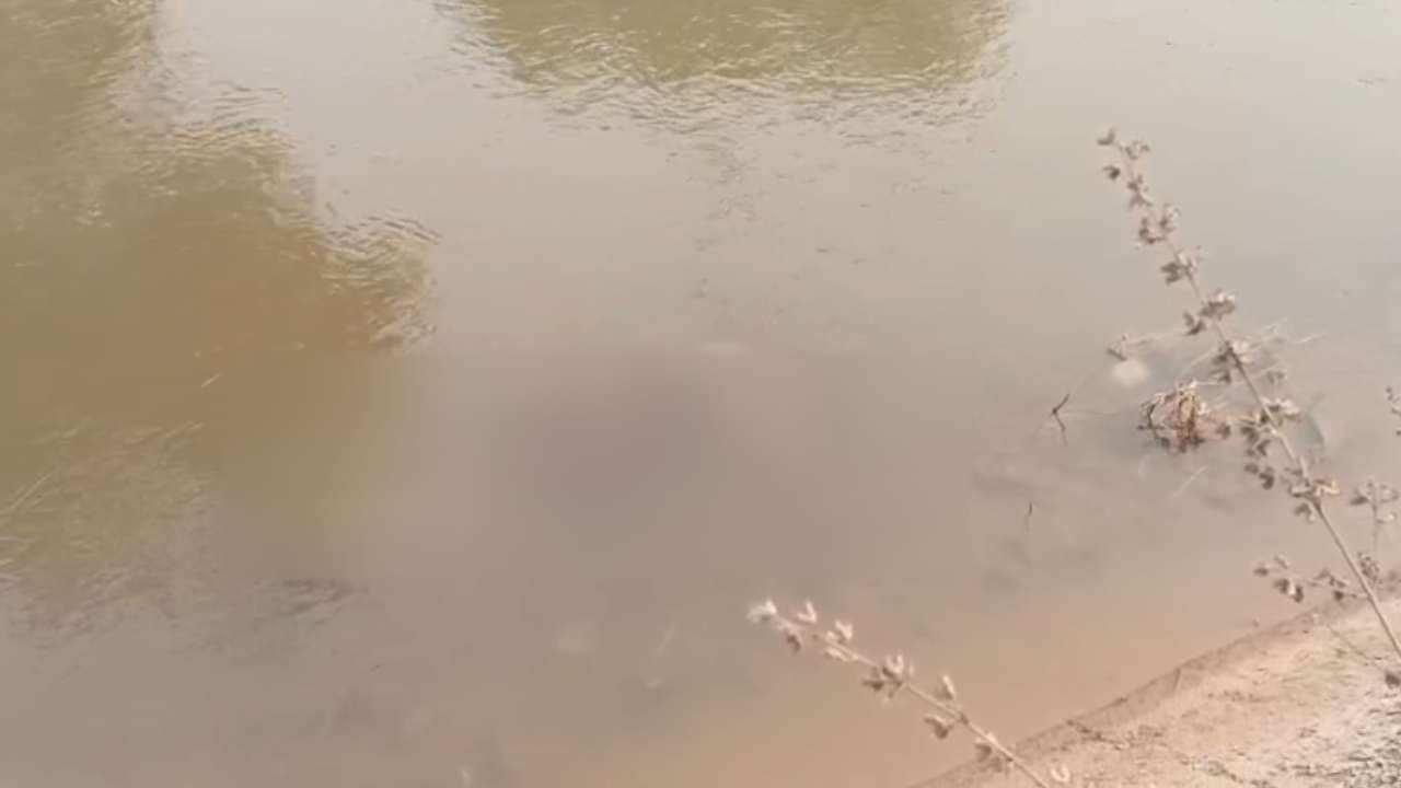 युवक की लाश मिलने से हड़कंप