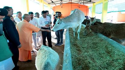 सीएम योगी बने शिक्षक: बरेली में बच्चों को अनुशासन और मेहनत की दी सीख, चॉकलेट बांटी... सेल्फी भी ली; तस्वीरें CM Yogi became a teacher taught discipline and hard work to students in Bareilly